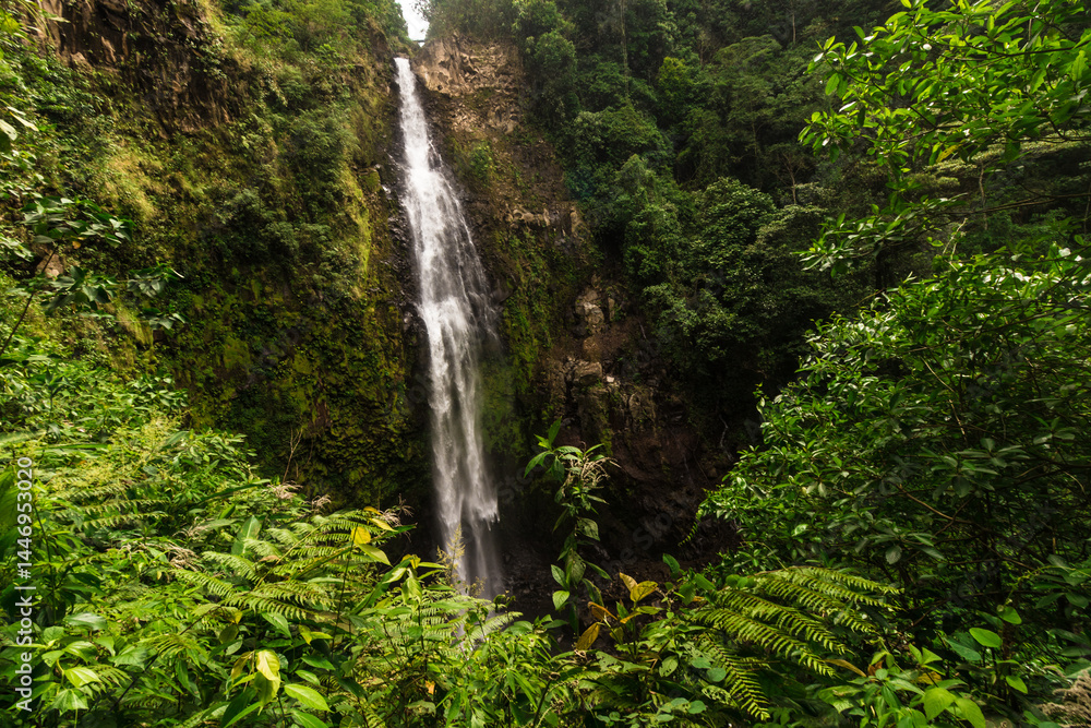 vertical shot of landscape of a waterfall of pure water in the middle of the mountain surrounded by tropical forest and Costa Rican jungle vertical shot of landscape of a waterfall of pure water in the middle of the mountain surrounded by tropical forest and Costa Rican jungle