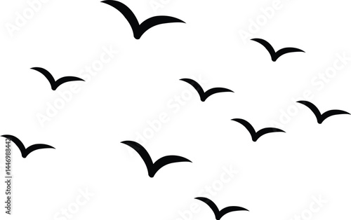 flying birds
