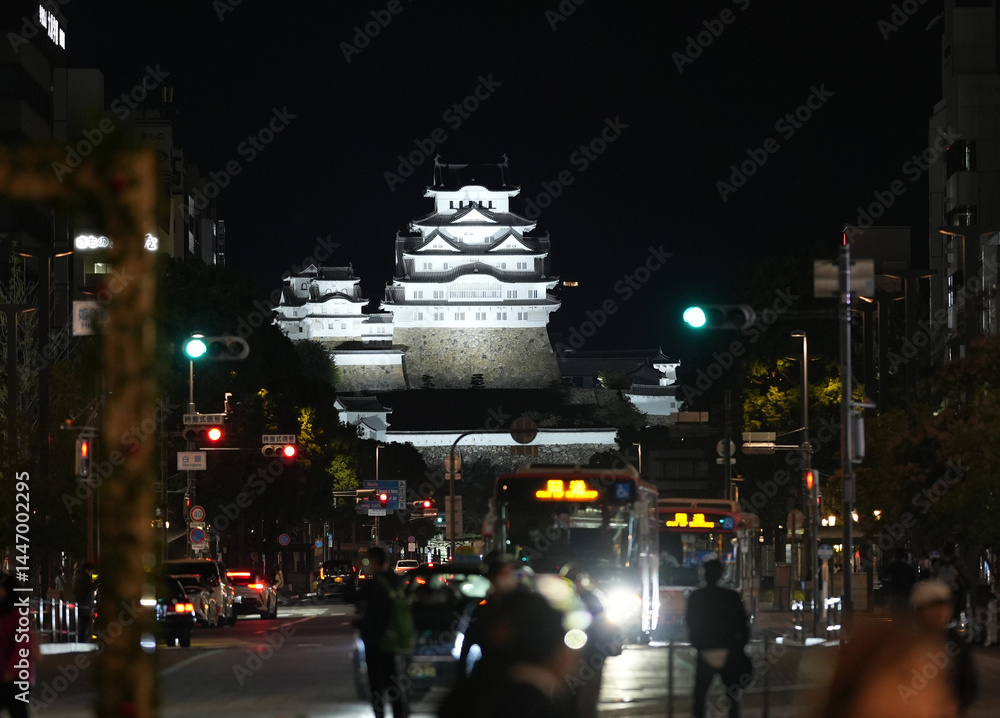 Fototapeta premium 2024年の姫路の街並み