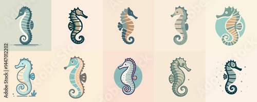 collection of seahorse illustration