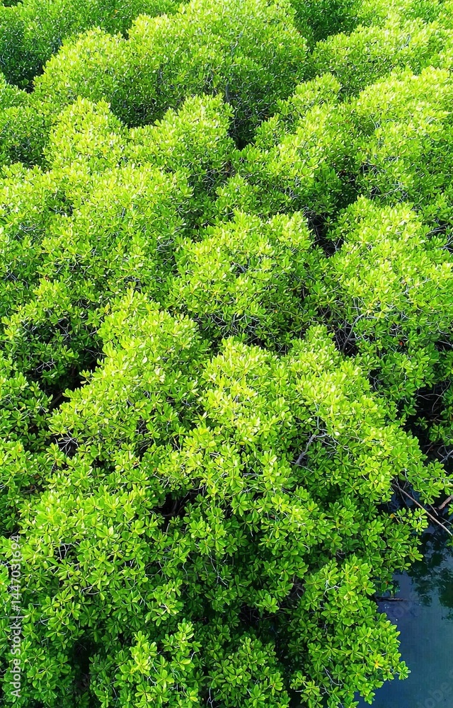 Naklejka premium close up of green moss