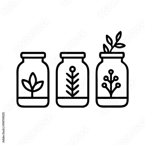 Herbs in Kitchen Jars Displayed with Simple Lines  