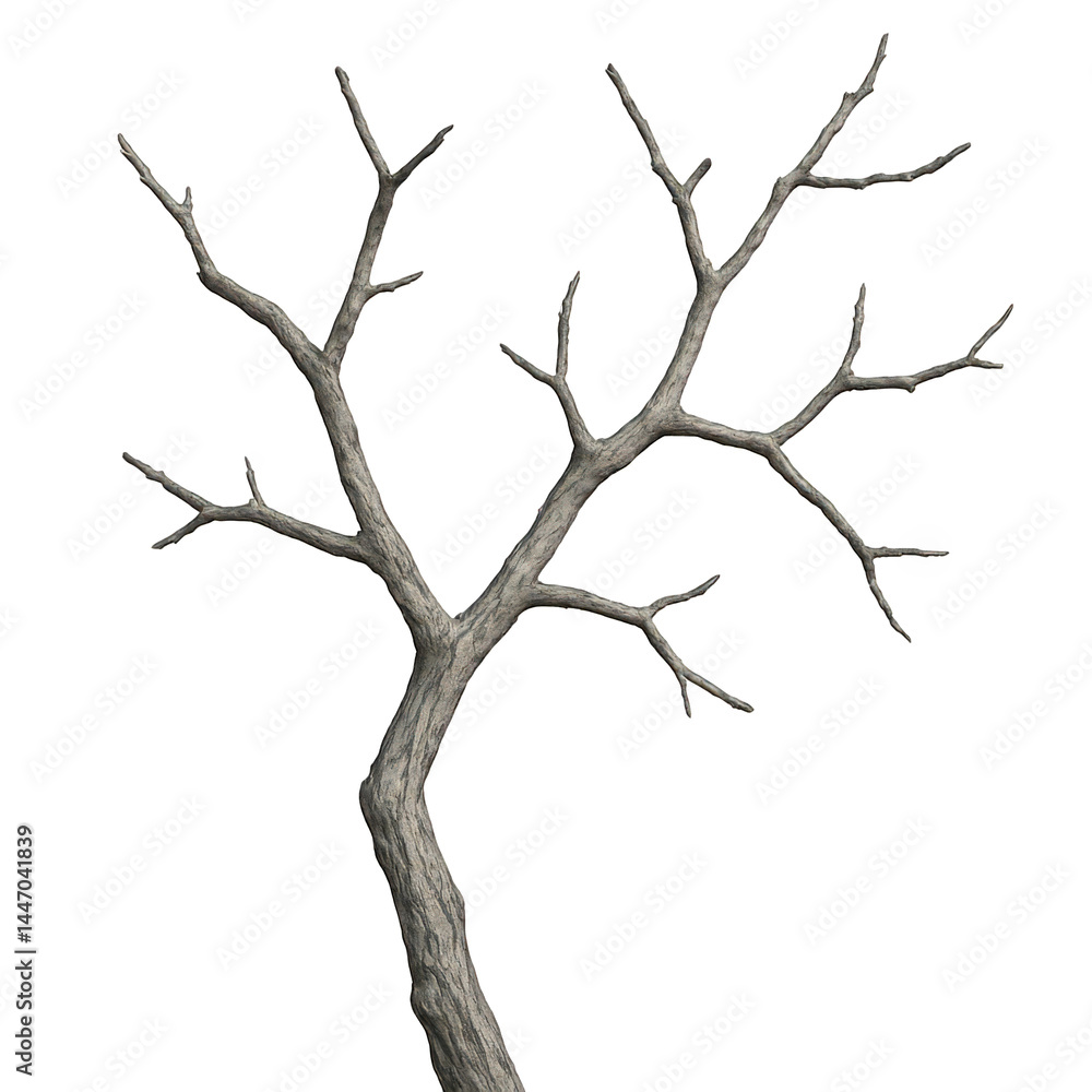 Obraz premium Striking image of a bare tree, highlighting the rough texture of its curved trunk and spreading branches.