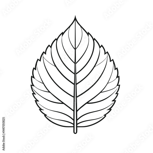 vector leaf icon