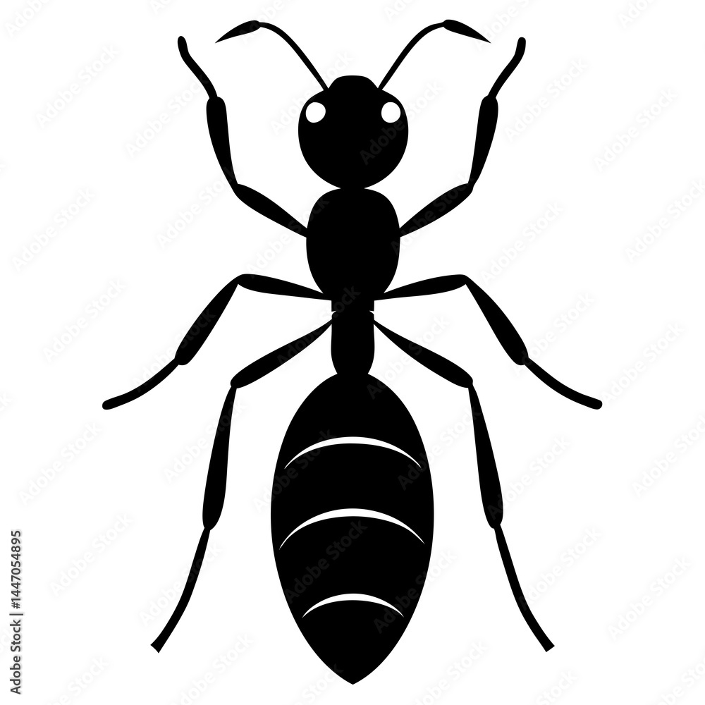 Ant silhouette vector illustration Ant silhouette vector illustration