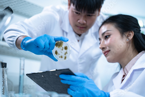 Multidisciplinary science students work in a modern lab analyzing microbial samples to support research in biology chemistry health and other scientific fields