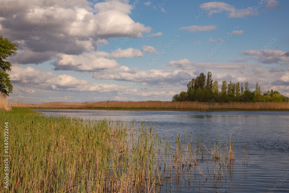 Ukrainian river landscape with island, reeds, and cloudy sky Ukrainian river landscape with island, reeds, and cloudy sky