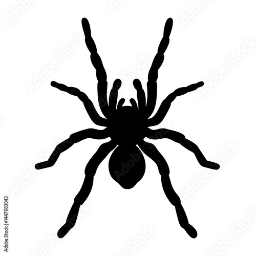 Silhouette of a Tarantula Spider on a White Background, Halloween Decor