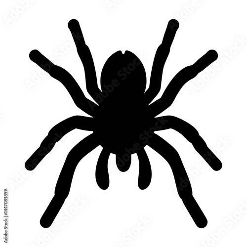 A black silhouette of a tarantula spider, a symbol of fear and Halloween
