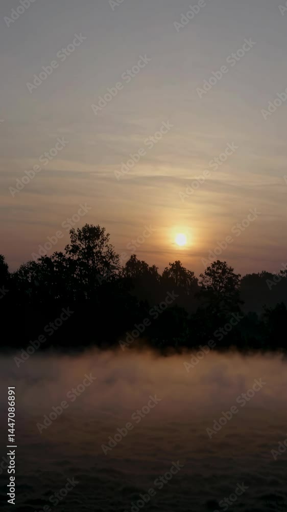 A serene sunrise video captures the horizon from a low angle, highlighting silhouettes of trees against a gradient sky, evoking tranquility. Live mobile wallpaper. A serene sunrise video captures the horizon from a low angle, highlighting silhouettes of trees against a gradient sky, evoking tranquility. Live mobile wallpaper.