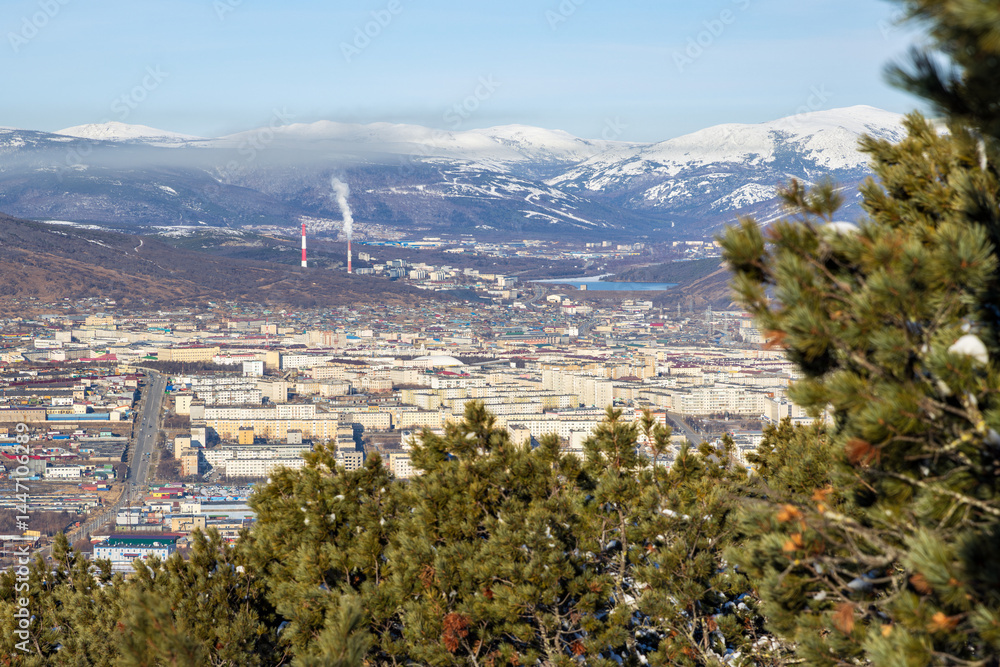 View from the mountain to the city of Magadan. In the foreground are branches of dwarf cedar. In the distance are city blocks, thermal power plants and snow-capped mountains. Magadan region, Russia.