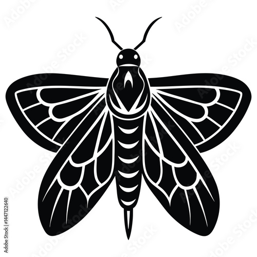 Silhouette of a moth with wide-open wings on a white background