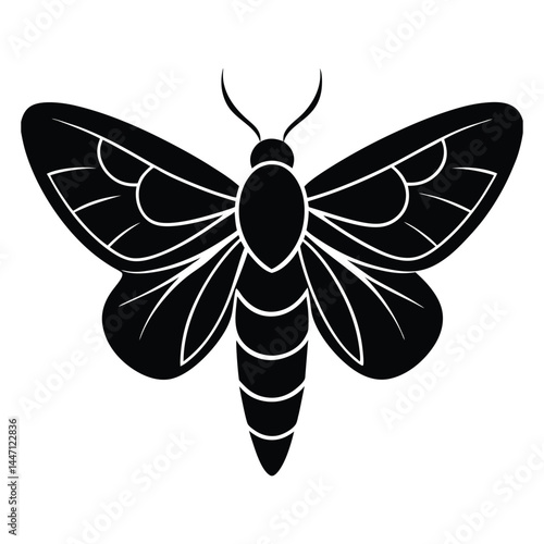 Silhouette of a moth with wide-open wings on a white background