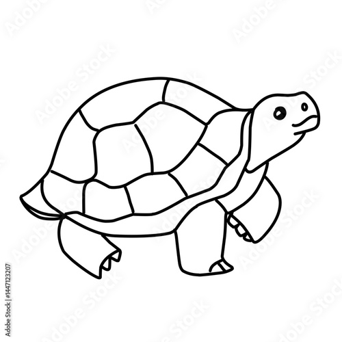 illustration of a tortoise sketch on a white background