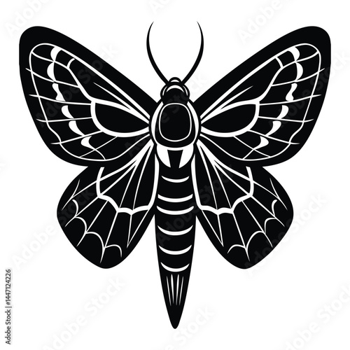 Silhouette of a moth with wide-open wings on a white background