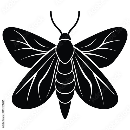 Silhouette of a moth with wide-open wings on a white background