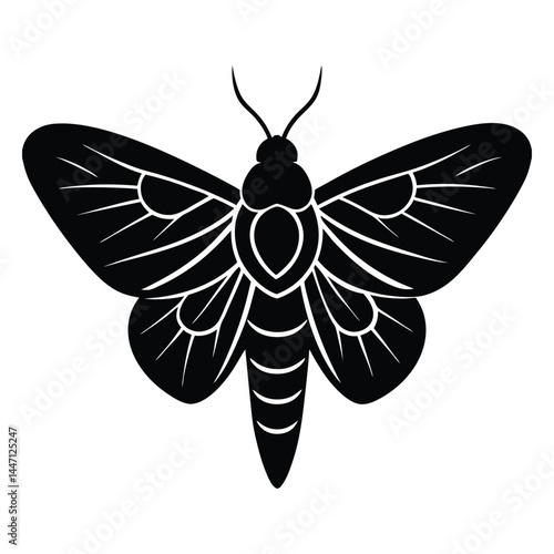 Silhouette of a moth with wide-open wings on a white background