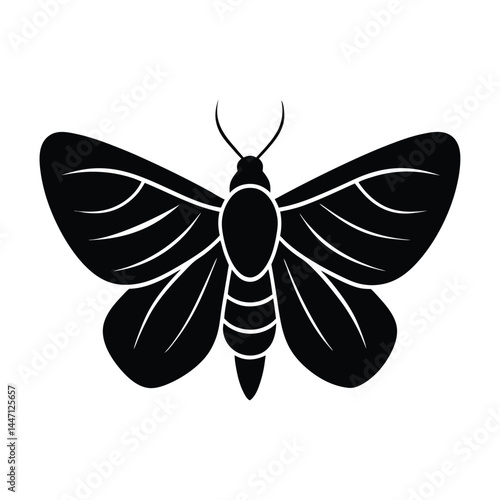 Silhouette of a moth with wide-open wings on a white background