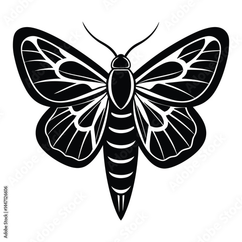 Silhouette of a moth with wide-open wings on a white background
