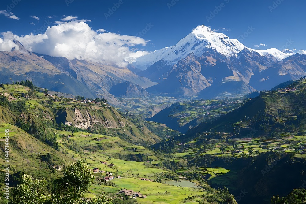 Fototapeta premium swiss alps in the summer
