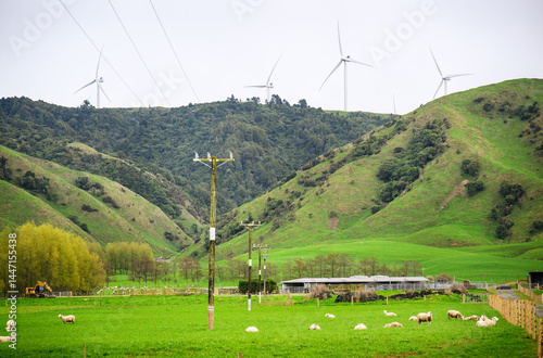 Obraz na płótnie Wind turbines on top of the hill. Power poles and power cables in the valley. Sheep grazing on the green grassland. New Zealand. w salonie