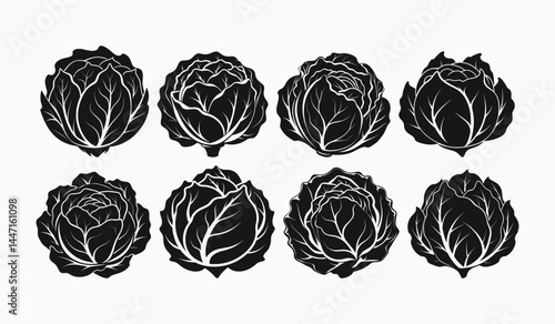 cabbage silhouette vector, cabbage on white background
