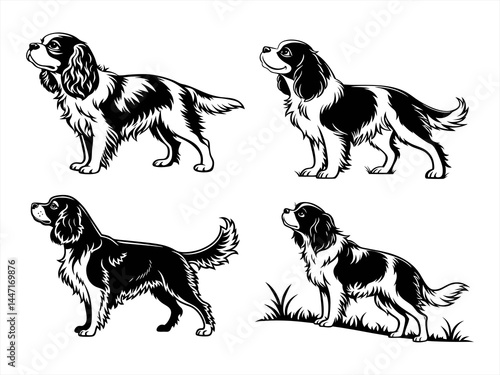 cavalier king charles spaniel sihouette black vector bundle