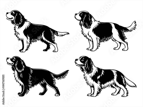 cavalier king charles spaniel sihouette black vector bundle