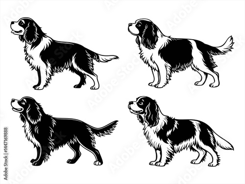 cavalier king charles spaniel sihouette black vector bundle