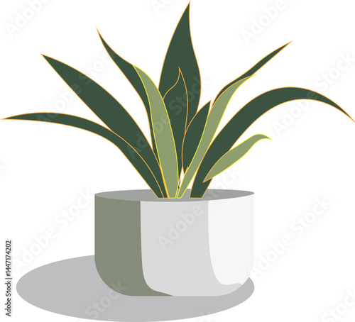 Minimalist Snake Plant for Modern Interior – Vector Art