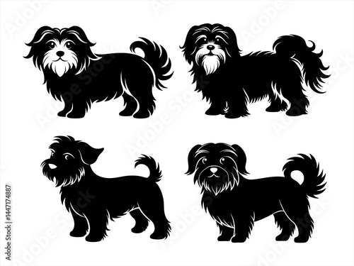 maltese sihouette black vector bundle