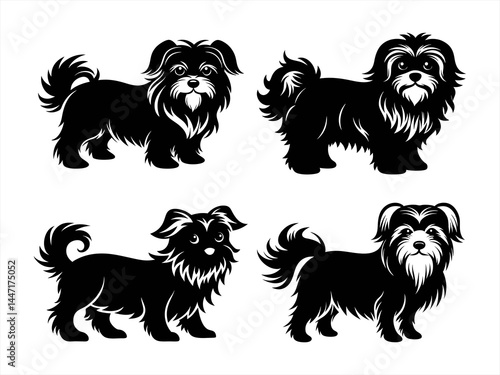 maltese sihouette black vector bundle