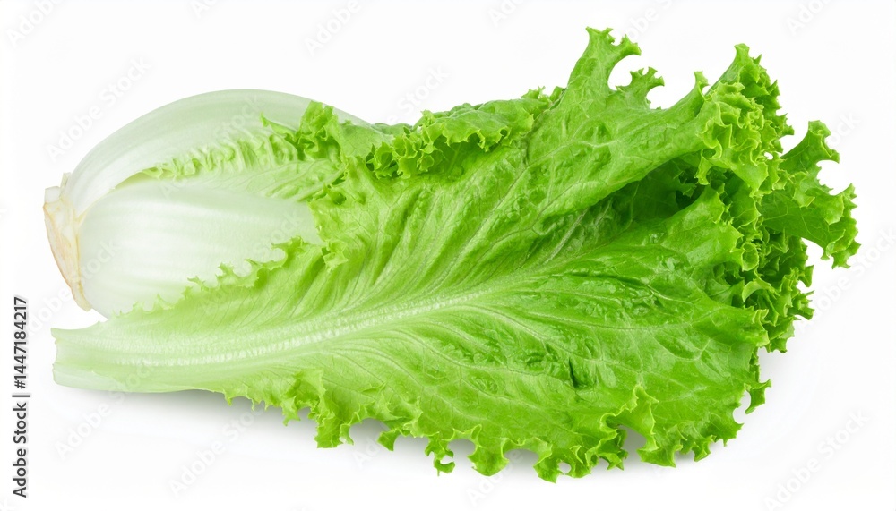 Fresh leafy green vegetables isolated on white background with clipping path and full depth of field for product display Fresh leafy green vegetables isolated on white background with clipping path and full depth of field for product display