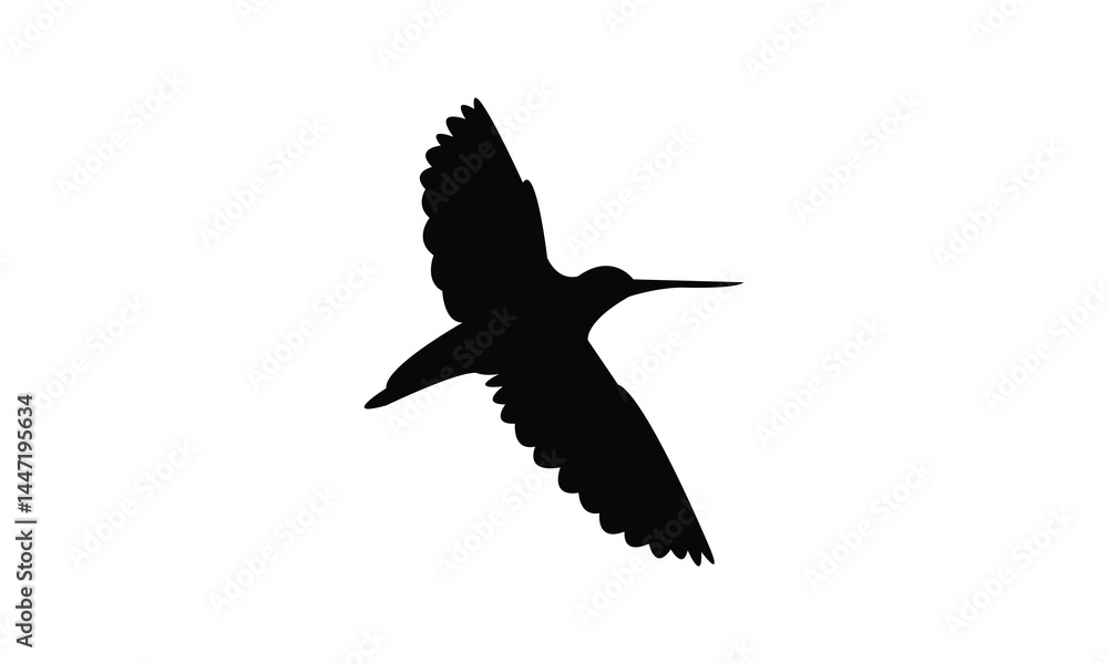 Obraz premium Flying African snipe bird Silhouette Design And Vector Illustration. 