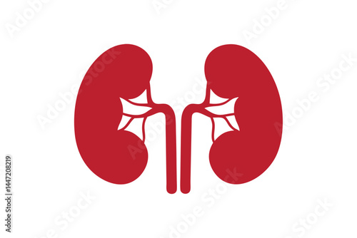 human kidney icon silhouette vector illustration, Red human kidney clipart