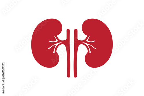 human kidney icon silhouette vector illustration, Red human kidney clipart