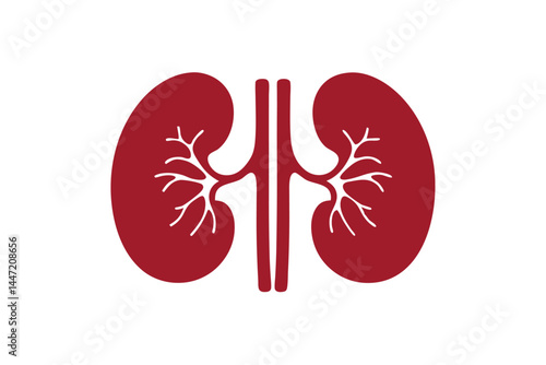 human kidney icon silhouette vector illustration, Red human kidney clipart
