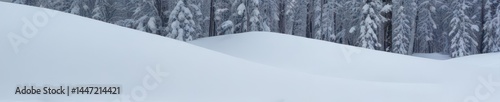 A pristine snowdrift, untouched powder, winter wonderland , frozen landscape, peaceful, white