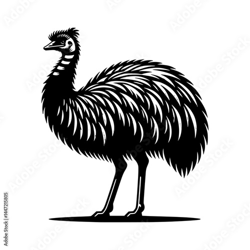 A black and white emu silhouette vector illustration, isolated on a white background.