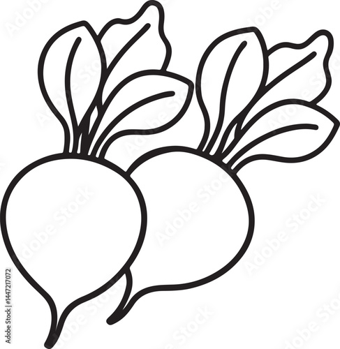 radishes line art, black outline, vector and illustration, coloring book page line art drawing