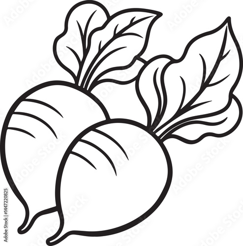 radishes line art, black outline, vector and illustration, coloring book page line art drawing