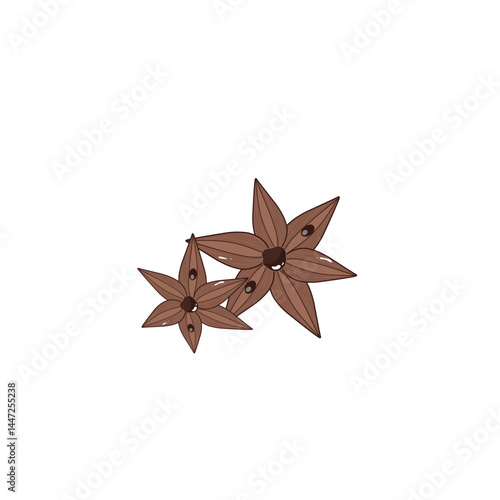 Anise spices 