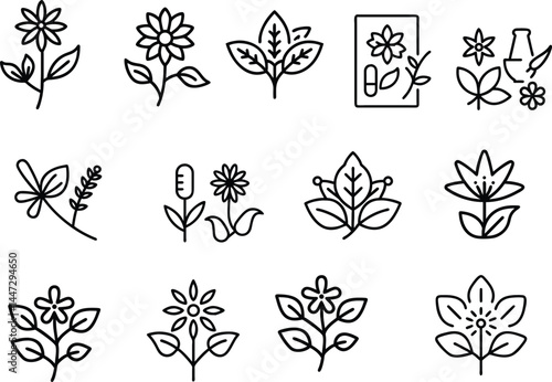 Medicinal Herbs Vector Icons – Thin Line Set of Healing Plants for Wellness, Health, and Herbal Remedies
