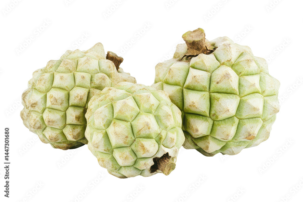 shot of three whole, light green fruits with a distinctive textured surface. The image is focused on the detailed surface texture of the fruits. shot of three whole, light green fruits with a distinctive textured surface. The image is focused on the detailed surface texture of the fruits.