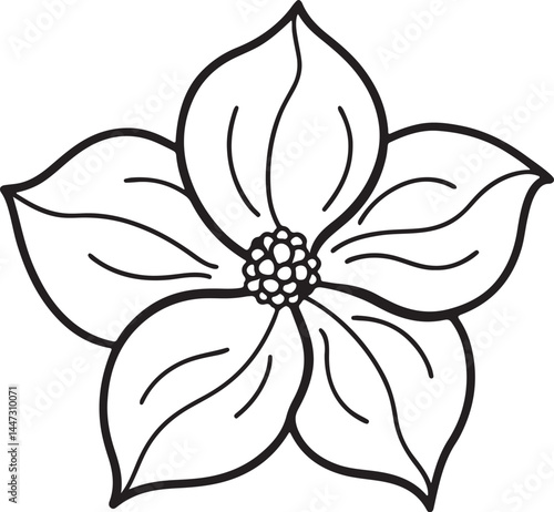 Wallpaper Mural dogwood flower line art, black outline, vector and illustration, coloring book page line art drawing Torontodigital.ca