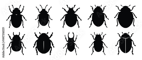Collection of Ten Diverse Beetle Silhouettes Illustrations