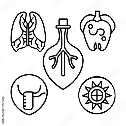human organ anatomy icon set