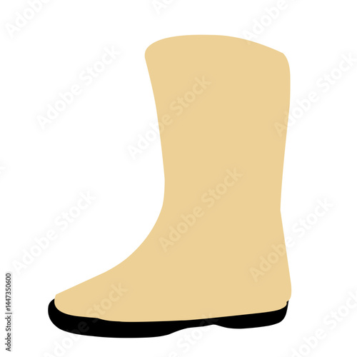 women shoes set vector illustration