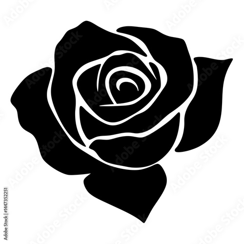 Elegant black rose in full bloom isolated on a white background