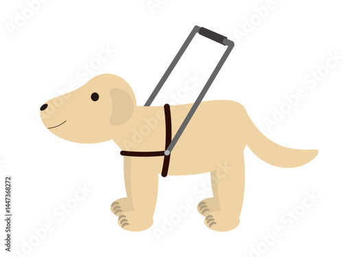 盲導犬